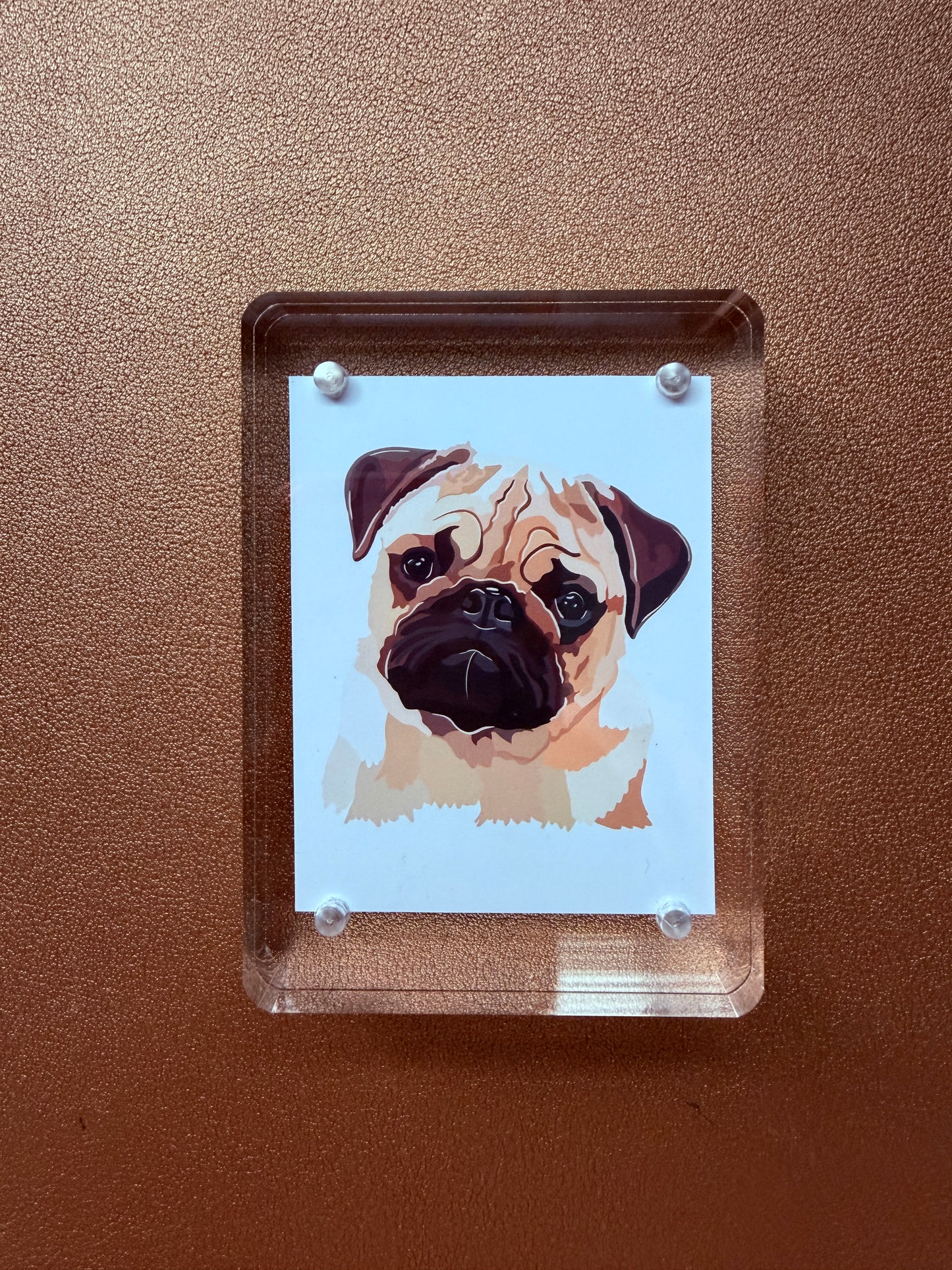 Mini Pet Portrait. Hand-drawn (digital)