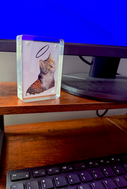 Mini Pet Portrait. Hand-drawn (digital)