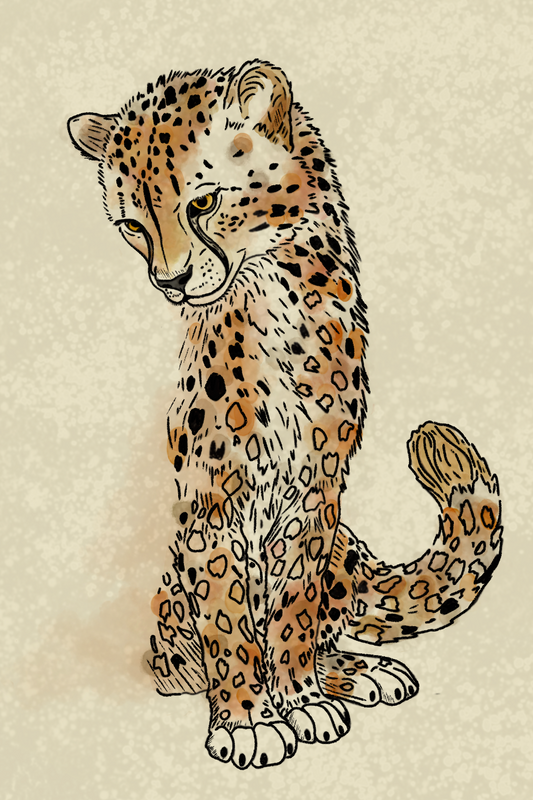 Hand Drawn Cheetah Print| Whimsical Animal Print (4x6)